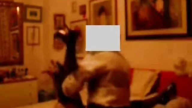 Ella le chupa la polla y las bolas porno latino 4k y luego se carga