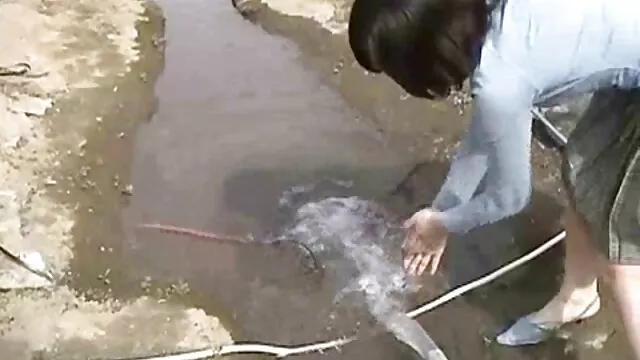 Abuelita con xxx pornolatino grandes tetas masturbándose peluda granny pussy